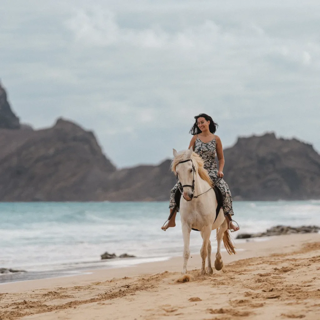 Passeios a Cavalo